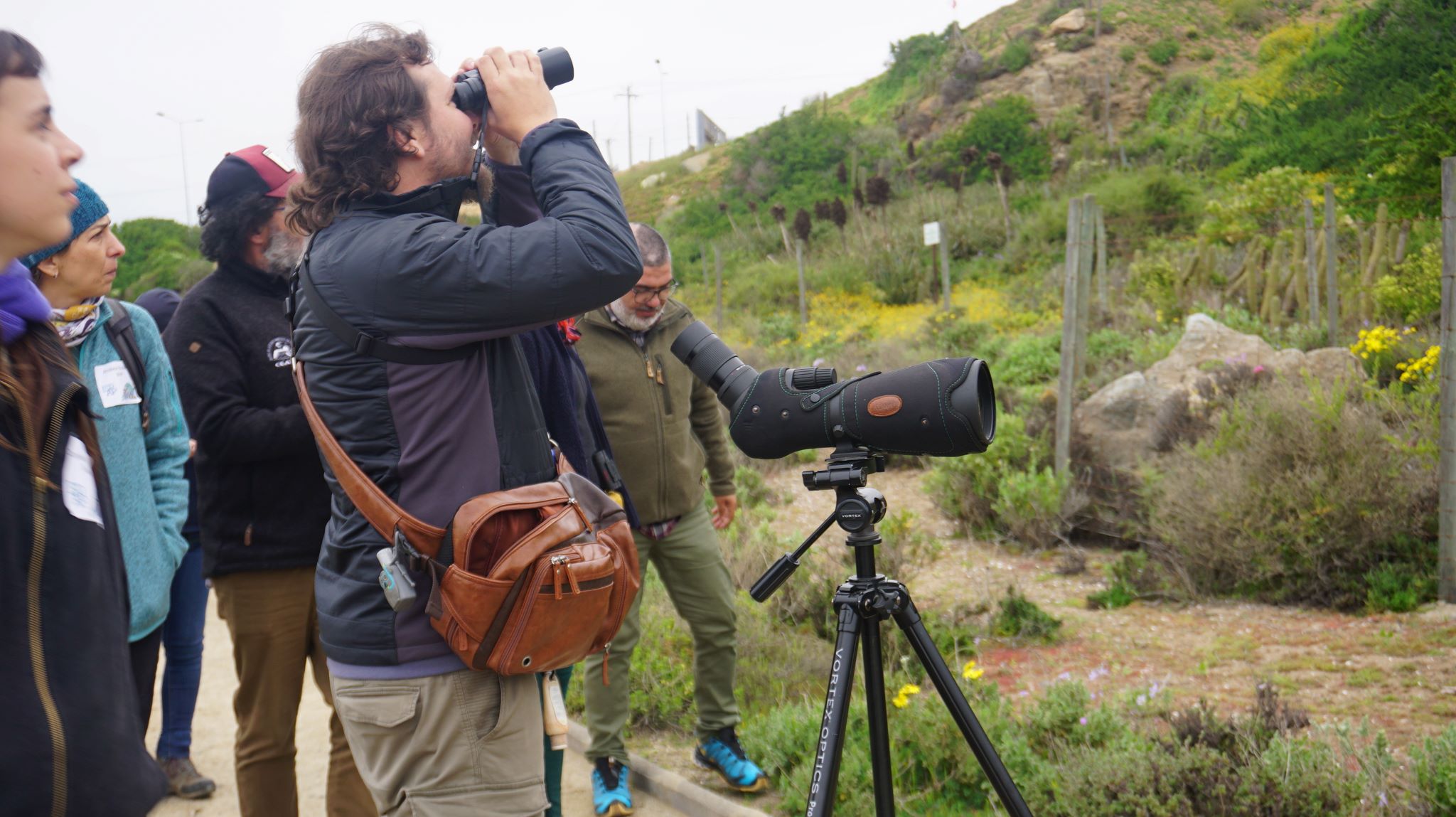 Visitantes laguna conchali avistamiento aves